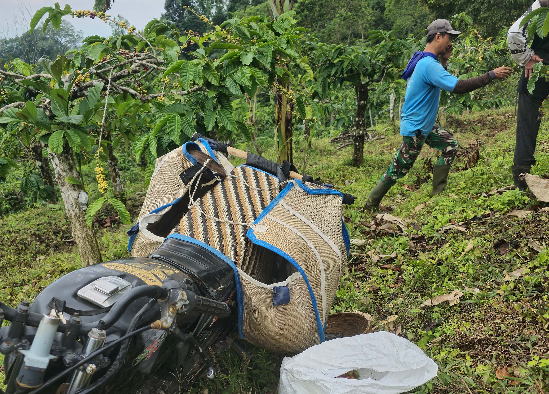 Premium Coffee Processing